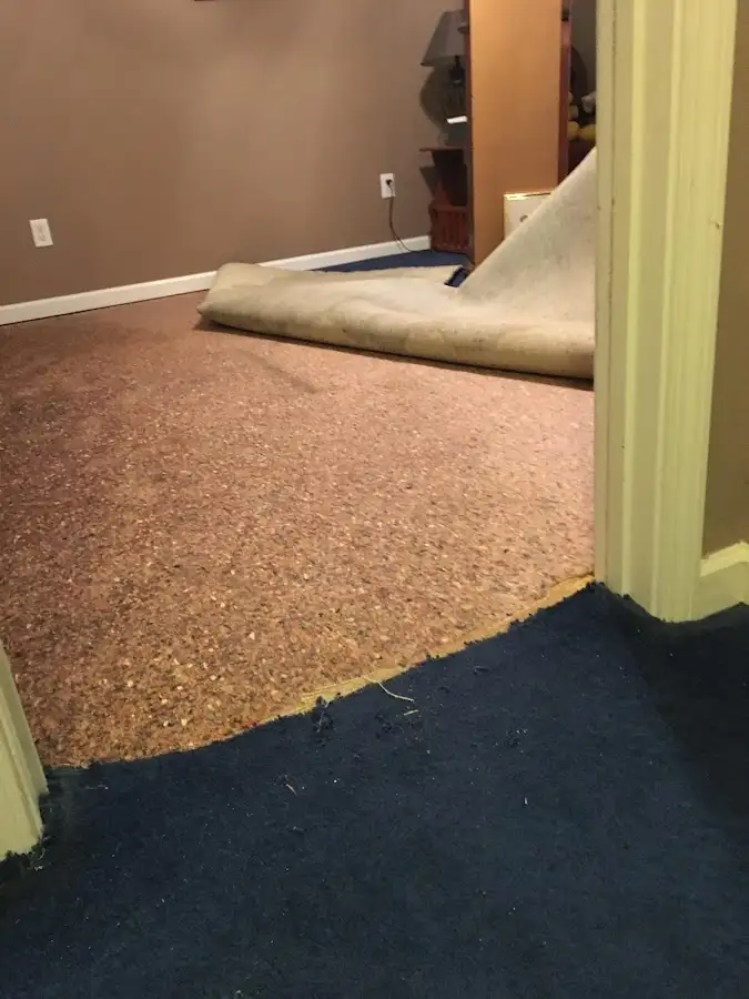 Carpet pad removal revealing water damage during Drying & Dehumidification in Bonita