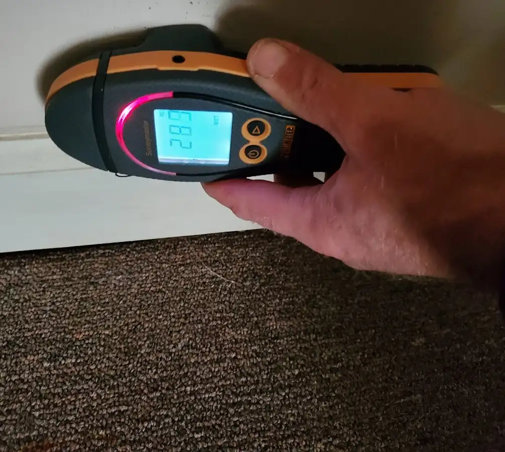Moisture detection at baseboard during Mold Inspection & Testing in Bonita